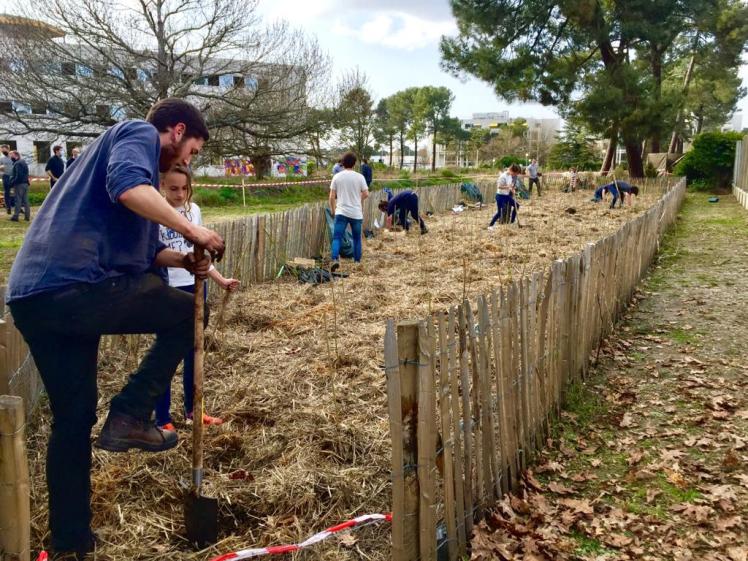 Plantation de la première micro-forêt girondine, sur le site d'Ampéris à Pessac.