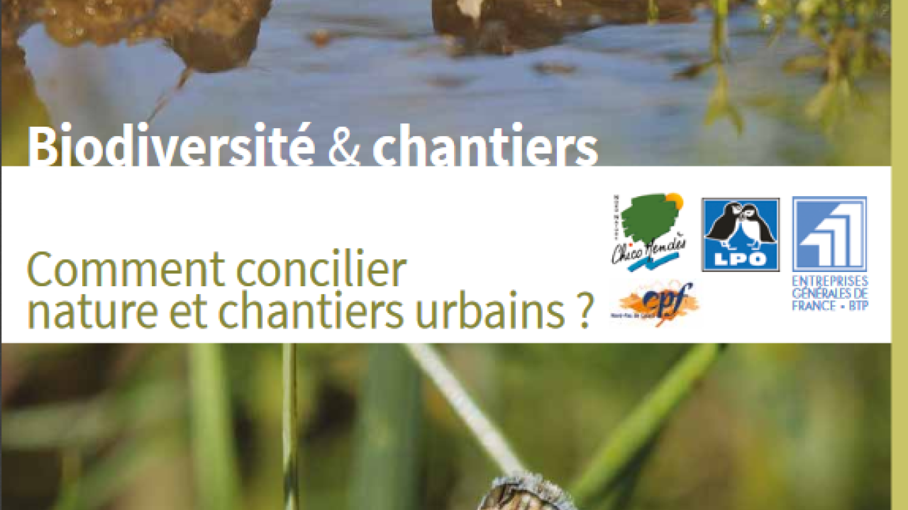 Comment concilier nature et chantiers urbains ? Comment concilier nature et chantiers urbains ?