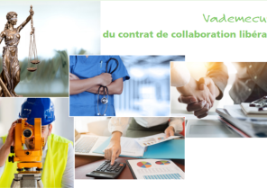 screenshot_2019-01-14_vademecum_contrat_de_collaboration_liberale_pdf.png