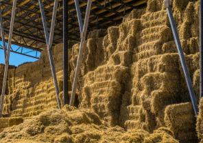 Hangar de stockage agricole