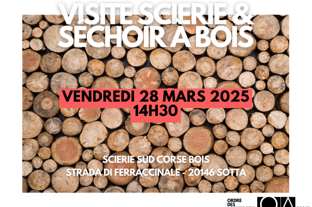Visite Sud Corse Bois à Sotta