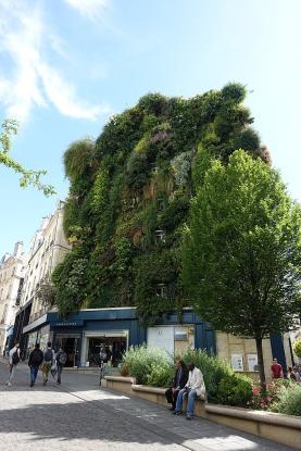 Mur végétal, rue d'Aboukir à Paris