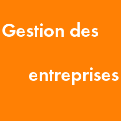 gestion-entreprises.png